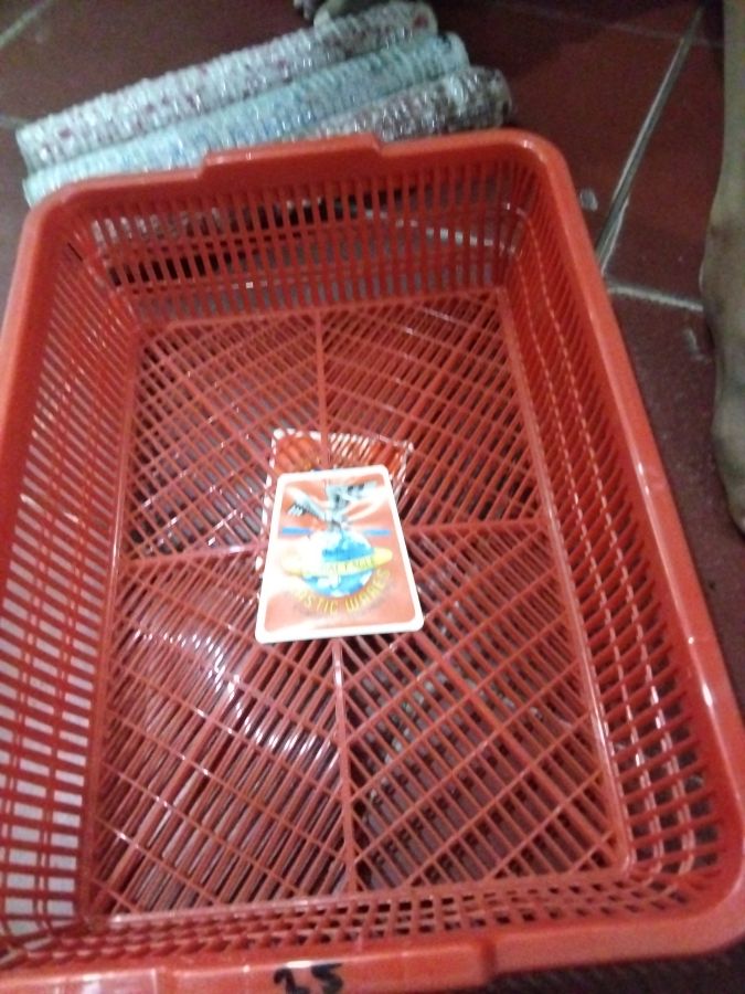Keranjang bumbu global engel jumbo 