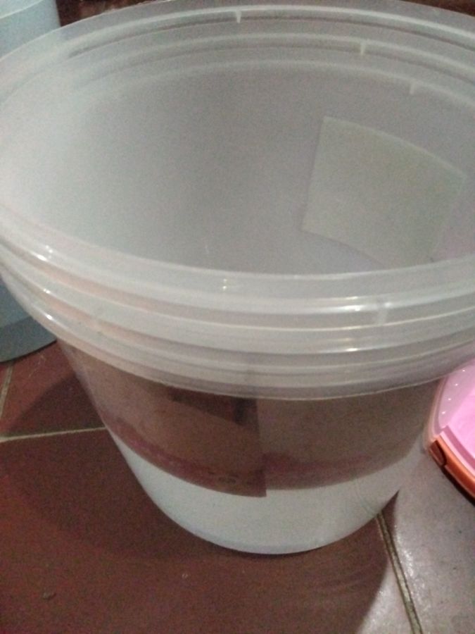 Toples sealware panda Star Sw 16L
