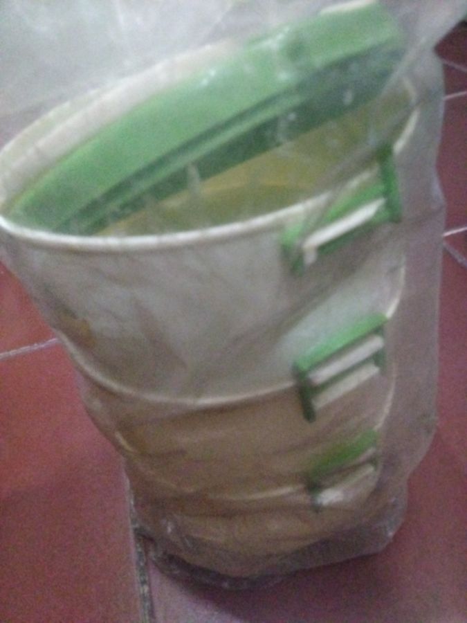 Rantang plastik bulat Lily 3ss