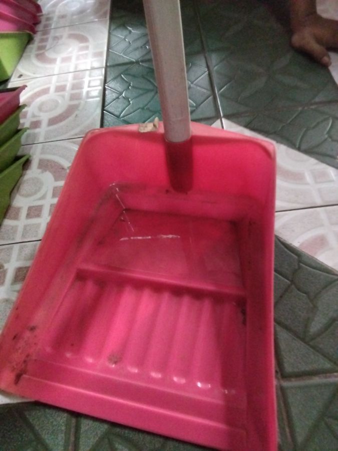 Serok sampah Pacifik 