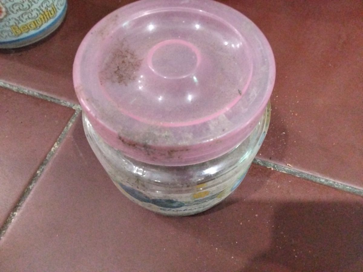 Toples kaca kig beautiful 6
