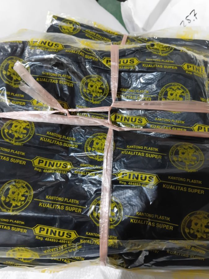 TAS PINUS HITAM 5L