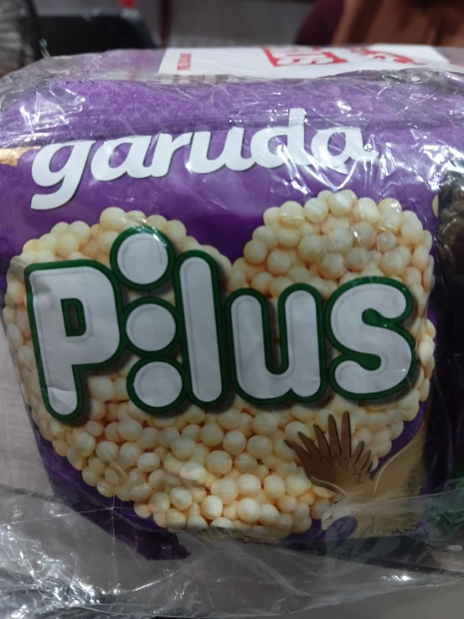 GARUDA PILUS RENDANG