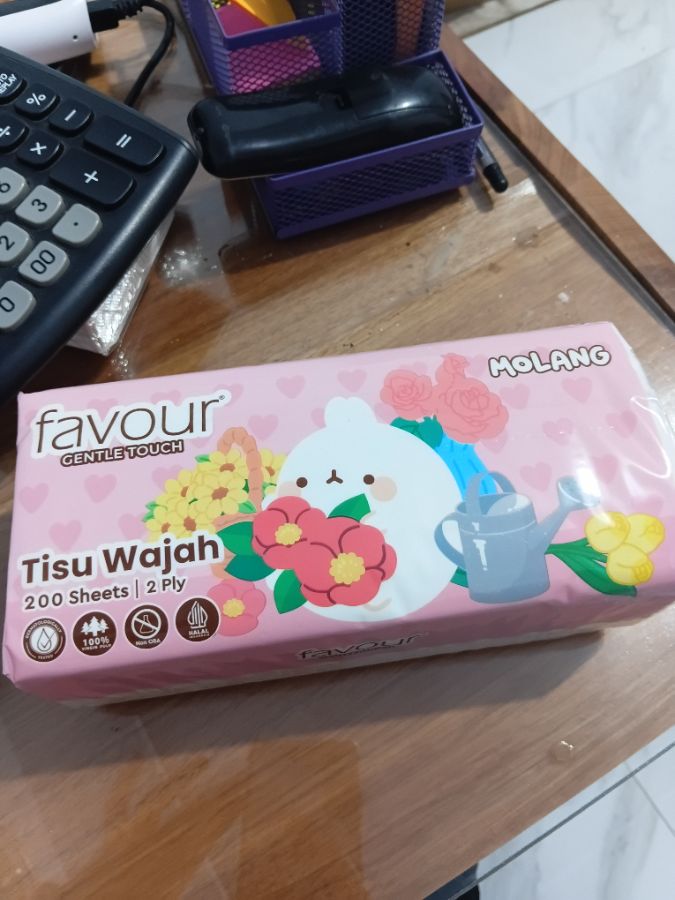 FAVOUR CHARACTER SOFTPACK