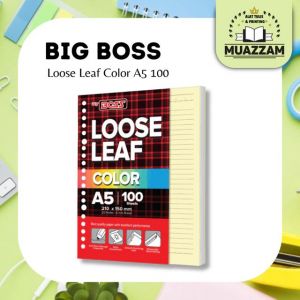 BigBoss Loose Leaf A5 100 Rainbow