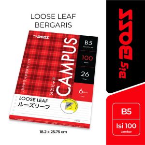 BigBoss Loose Leaf B5 100