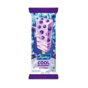 Joyday Cool Blueberry 55ml