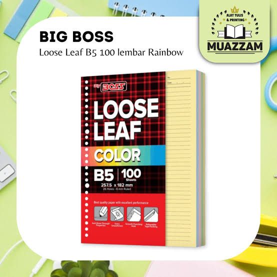 BigBoss Loose Leaf B5 100 Rainbow