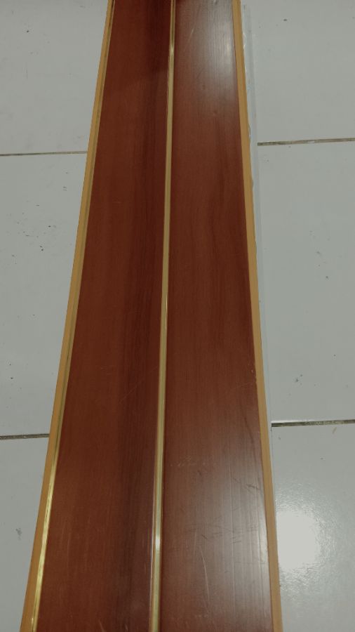 Plagon BS 24ng/6m/12,000