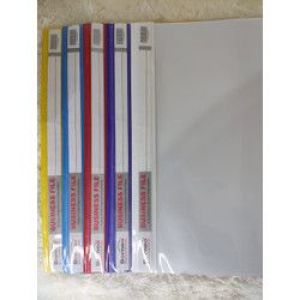 Forte Business File
