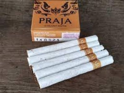 PRAJA 12
