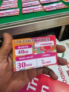 Vocer Tree 40gb 30h (V30GB30D) 