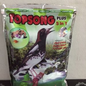 TOPSONG 
