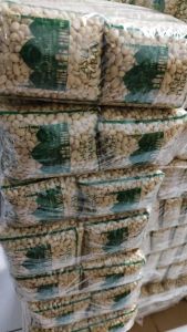 Kacang tuban