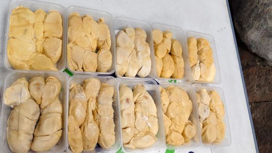 Duren sibolga