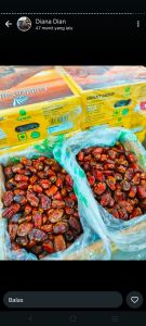 Kurma golden valey