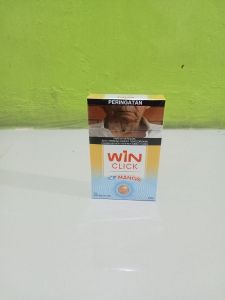 WIN CLICK ICE MANGO 16