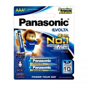 panasonic alkaline Evolta
