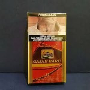 GAJAH BARU 12