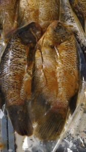 Ikan gurame 