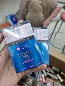 camel connect