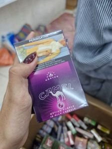 camel ungu 16