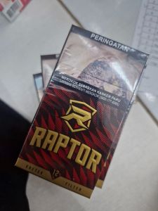 raptor filter