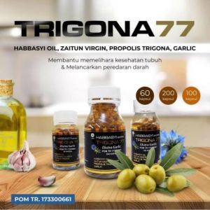 Trigona 77