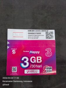 Kartu data tree 3gb 30hari