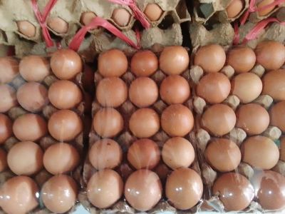 Telur ayam 1/2 papan Remban 