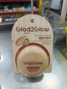 G2g skin tint 15g 01