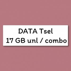 Data tsel 17gb combo sakti max 30hari