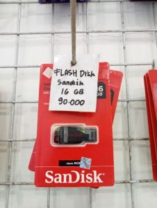 FD SANDISK 16GB (EG)