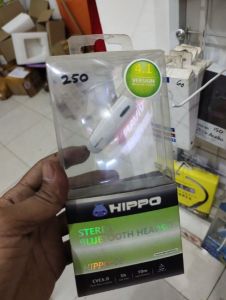 HIPPO 06