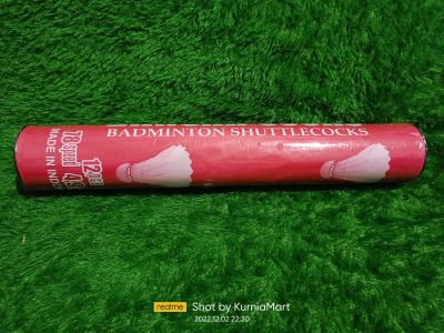 BULU PUMA
