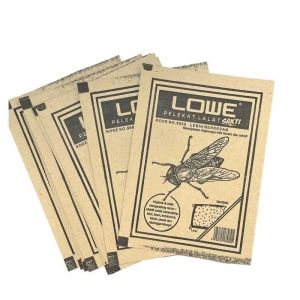 Lem lalat super wins 888
