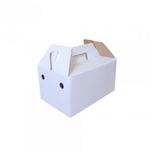 27x18x15 Box Jinjing Putih