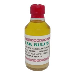 MINYAK BULUS