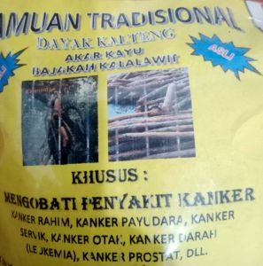 AKAR BAJAKAH IBU NOR LISA 