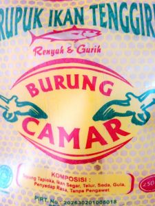 KERUPUK IKAN TENGGIRI BURUNG CAMAR (MENTAH)