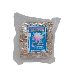 TALIPUK SARI ALAMI 