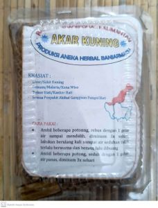 AKAR KUNING BANJARMASIN