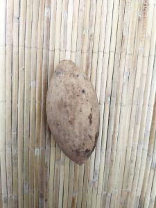 BUAH ULIN BANJARMASIN