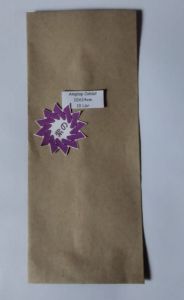 Samson Amplop Coklat 10X24cm