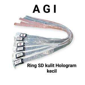 Rim SD Kulit Hologram K