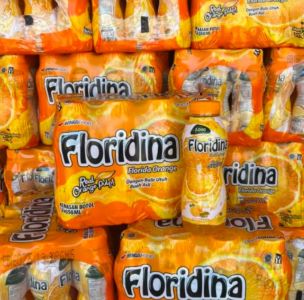 Floridina orange 350ml