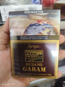 Surya 16 F