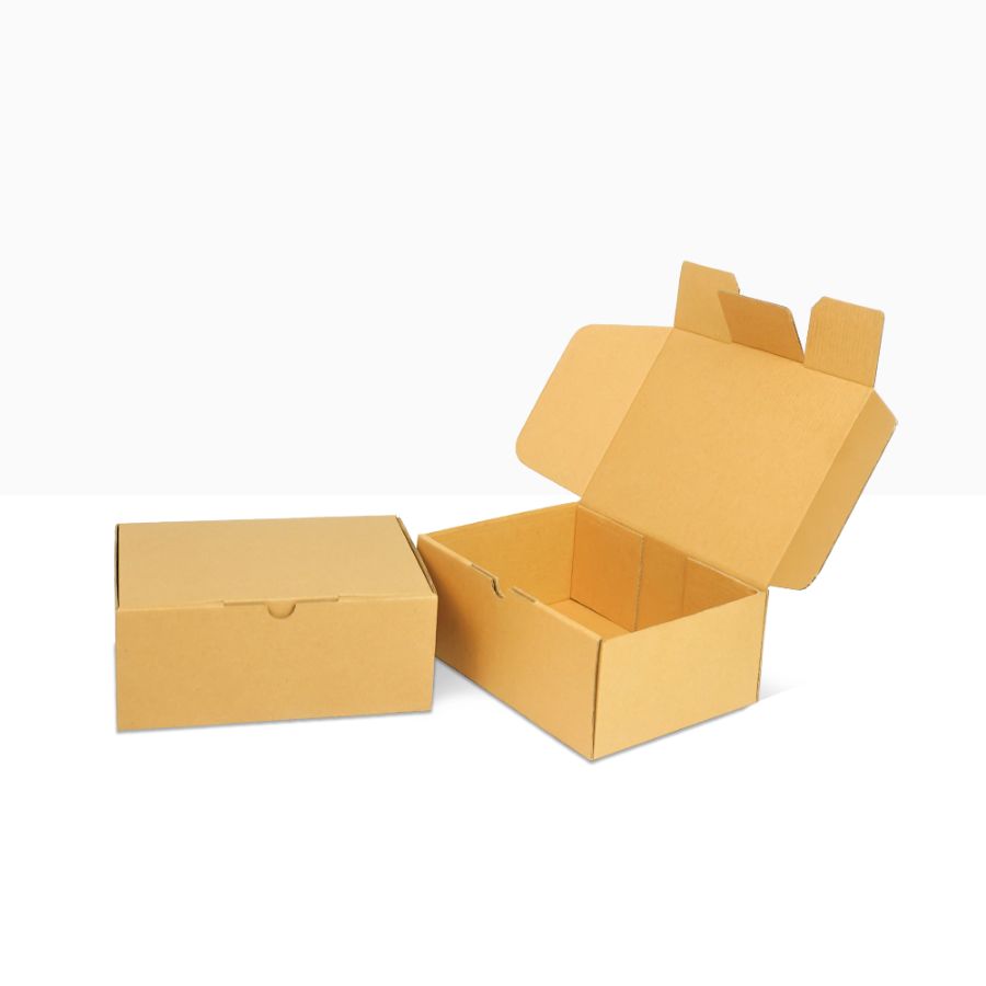 Box 22x16x8 (BestDought)