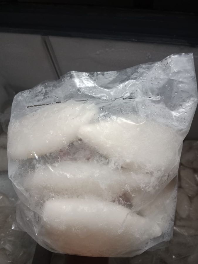 Cumi tube 