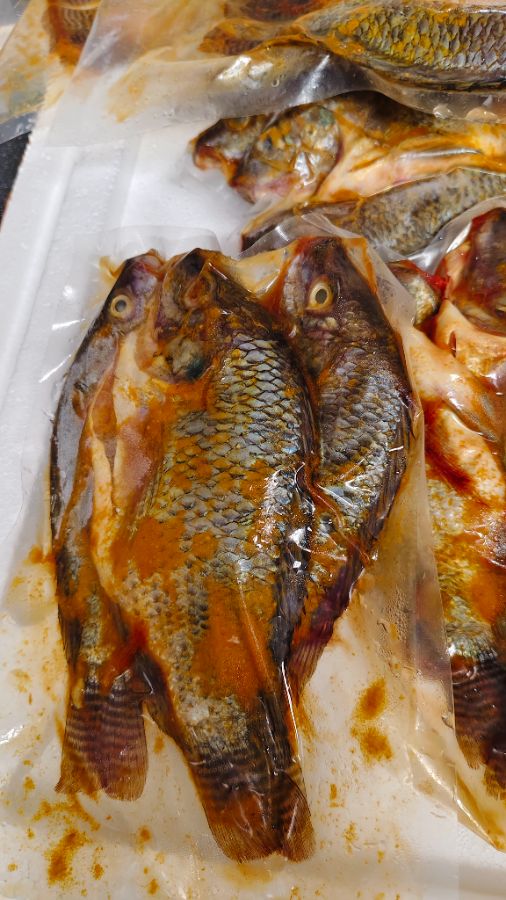 Ikan nila